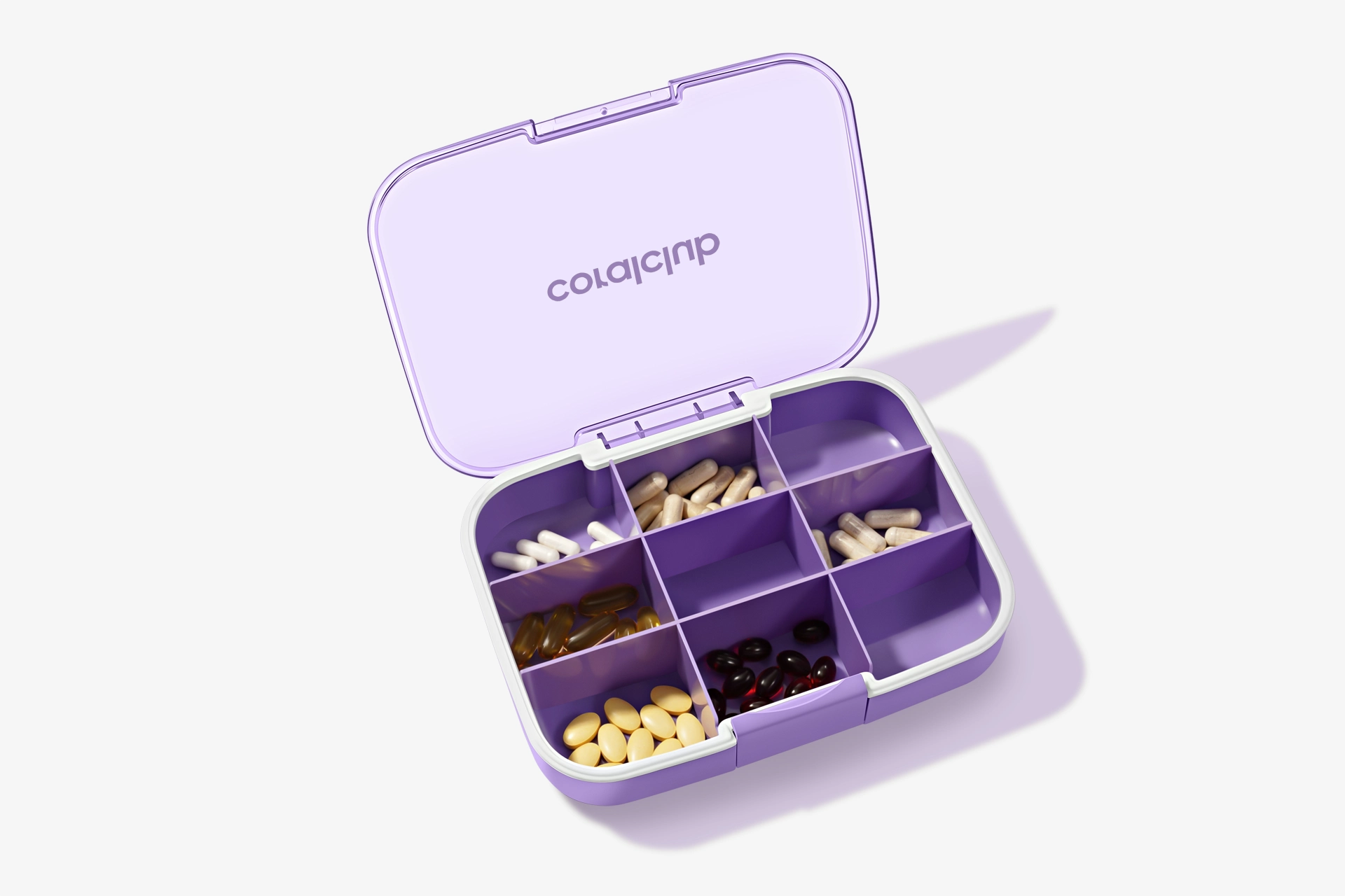 GoBox maxi, Lavendel